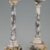 Paire consoles decoratives en marble