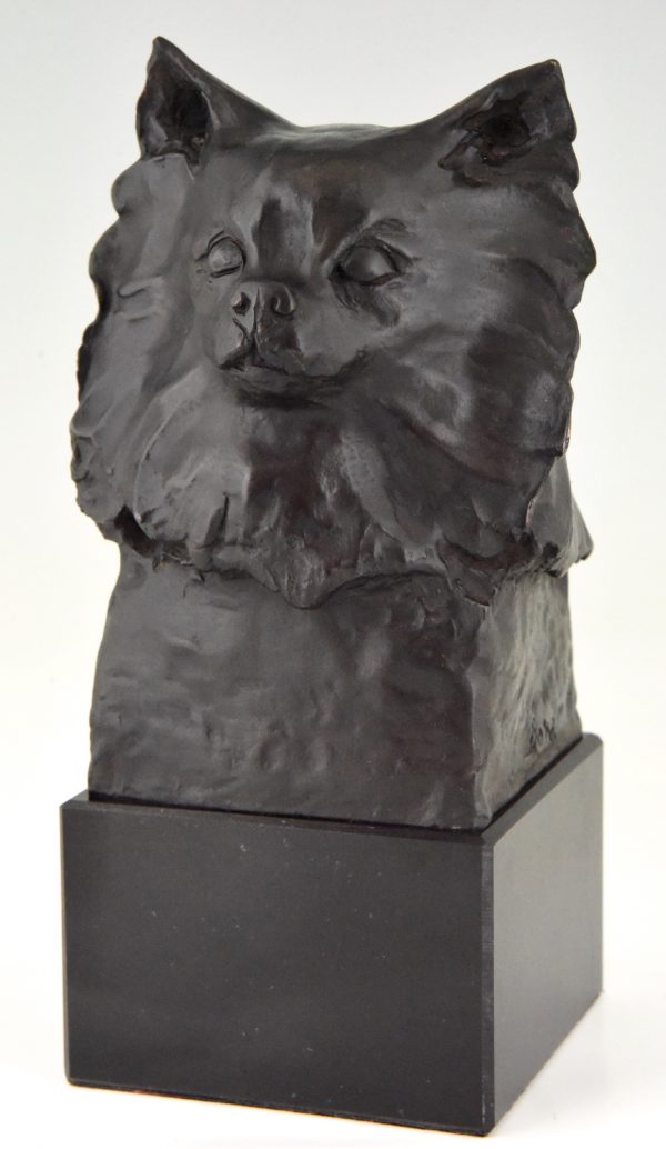 Art Deco bronze buste chien Chihuahua, Poméranie, Pomchi.