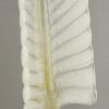 Paire d’appliques plume en verre et cuivre doré