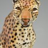 Mid Century Ceramic cheetah leopard sculpture.