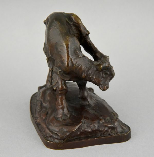 Bronze sculpture of a young goat