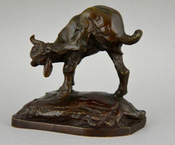 Bronze sculpture of a young goat