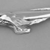 Art Deco 12 porte couteaux animaux metal argenté dans écrin