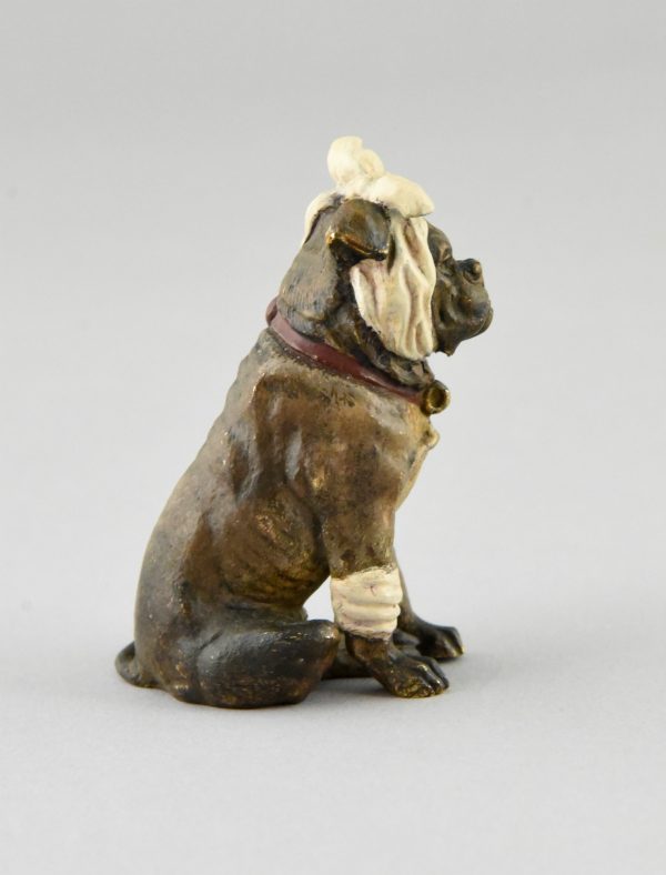Wiener Bronze Skulptur Bulldogge mit Bandage