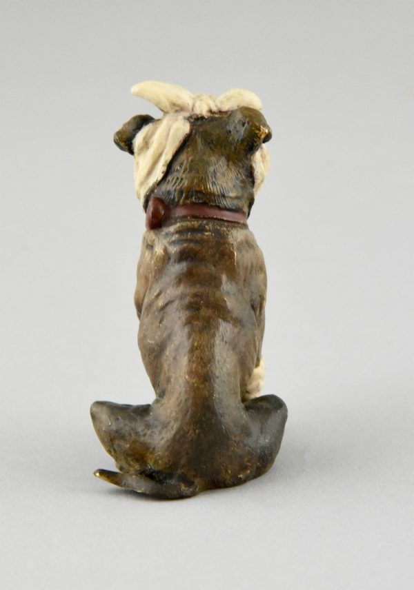 Weens bronzen sculptuur bulldog met verband rond kop