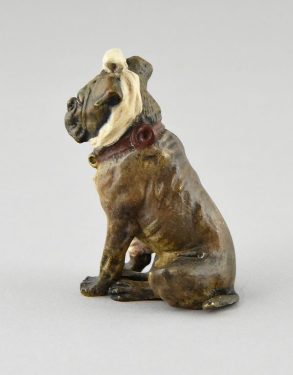 Weens bronzen sculptuur bulldog met verband rond kop