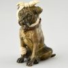 Wiener Bronze Skulptur Bulldogge mit Bandage