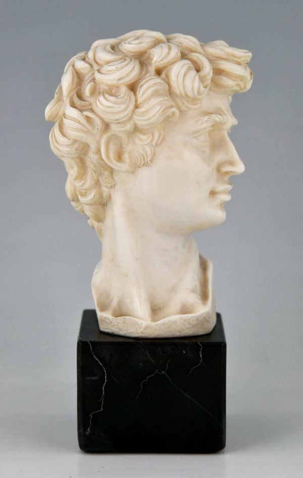 Classic Roman sculpture bust of David