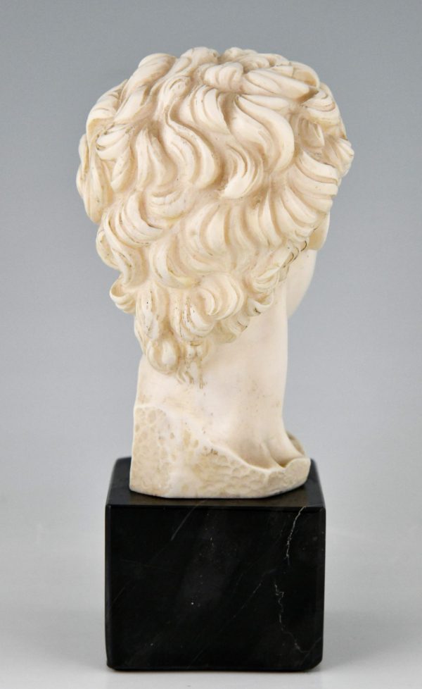 Classic Roman sculpture bust of David