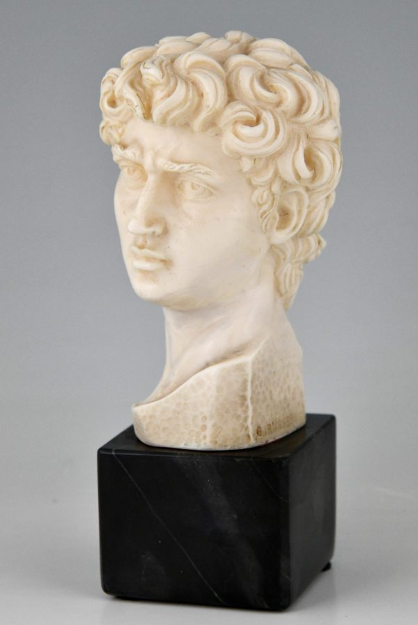 Classic Roman sculpture bust of David