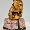 Art Déco Auto Maskottchen aus Bronze französische Bulldogge